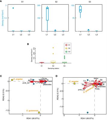 Environmental drivers modelling the mangrove Kinorhyncha community along an urban-to-natural gradient in French Guiana (western Atlantic Ocean)